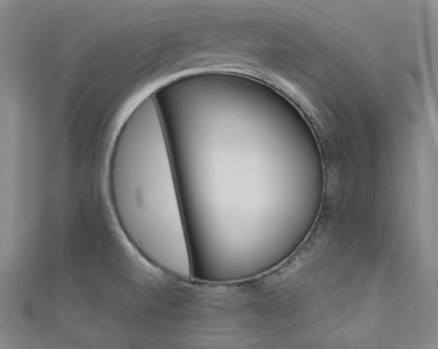 X0000111641520200907171027