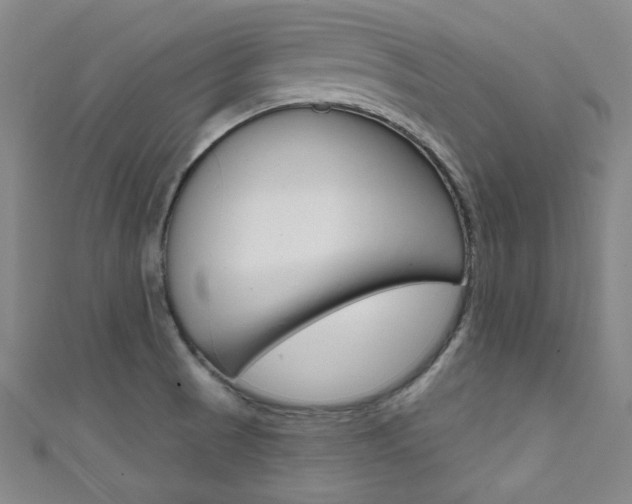 X0000111641521200907171027