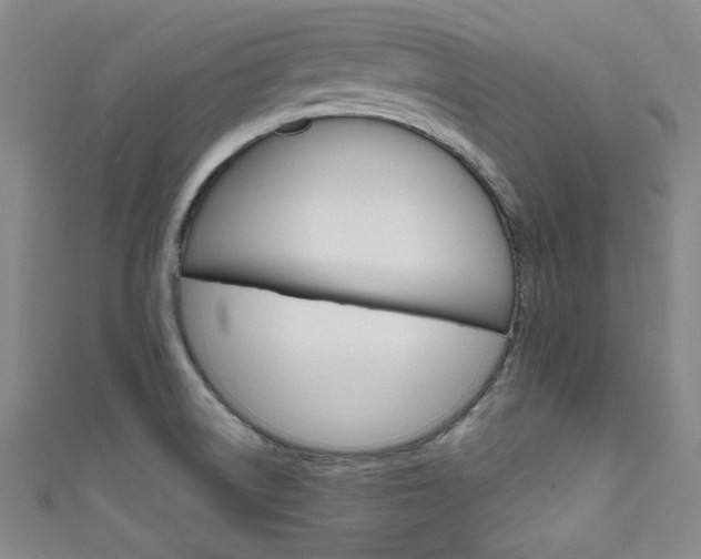 X0000111641522200907171027