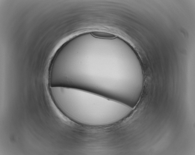 X0000111641523200907171027