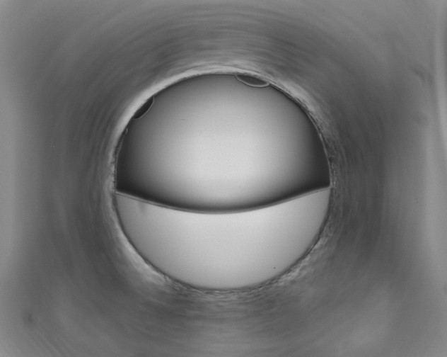 X0000111641524200907171027
