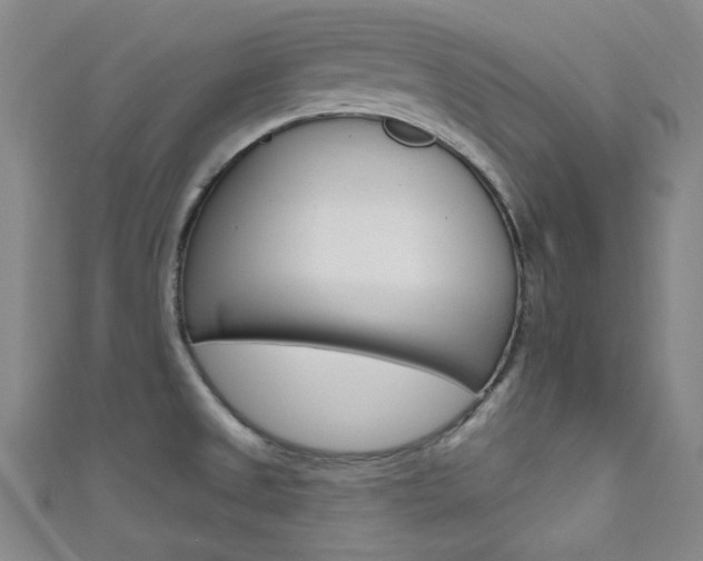 X0000111641525200907171027
