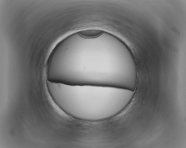 X0000111641526200907171028
