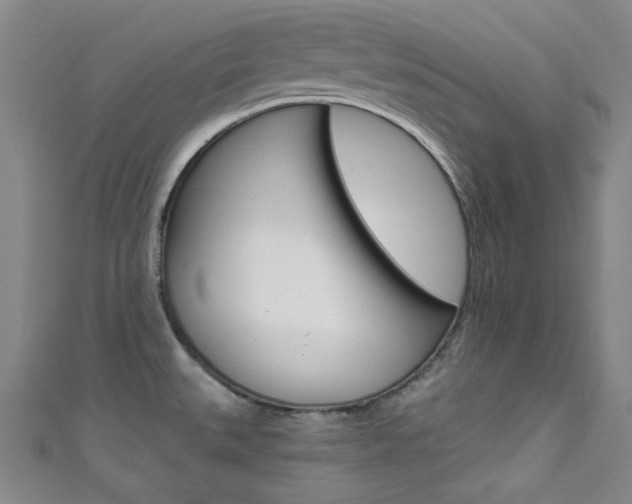X0000111641527200907171028