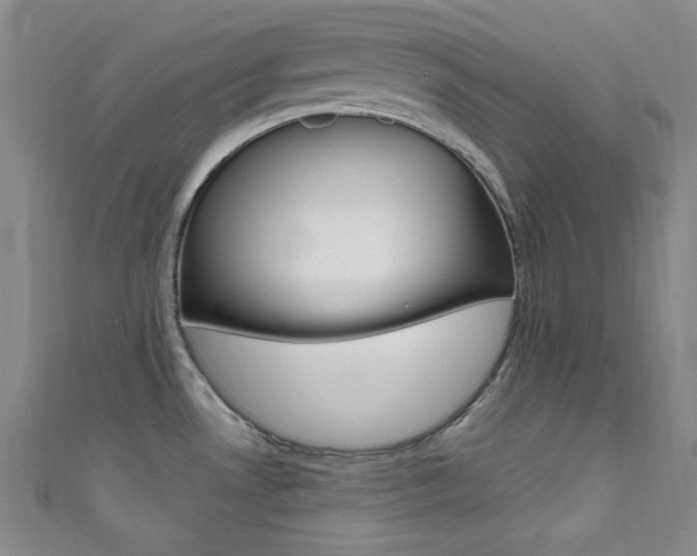 X0000111641530200907171028