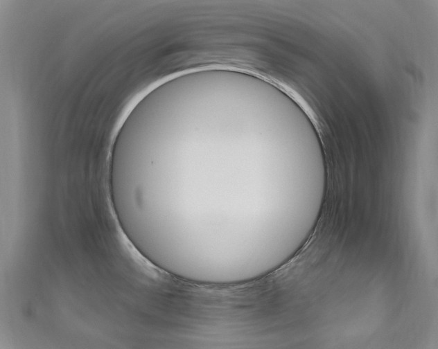 X0000111641532200907171028