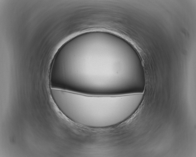 X0000111641534200907171028