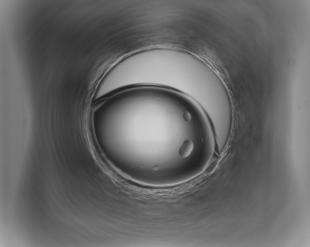 X0000111640001200907171556