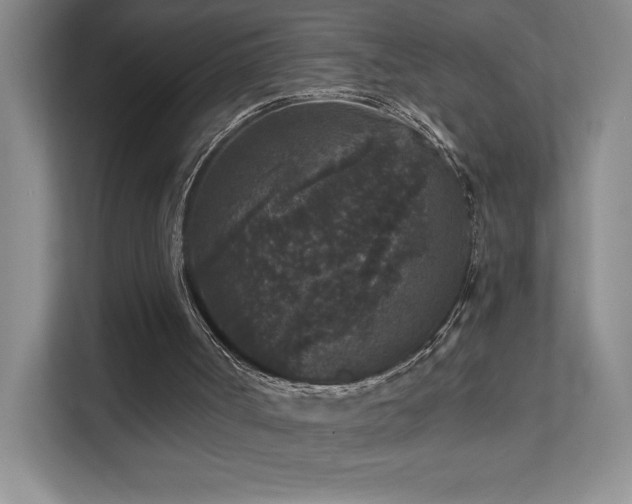 X0000111640002200907171556