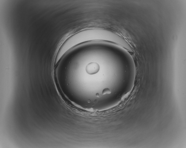 X0000111640003200907171556