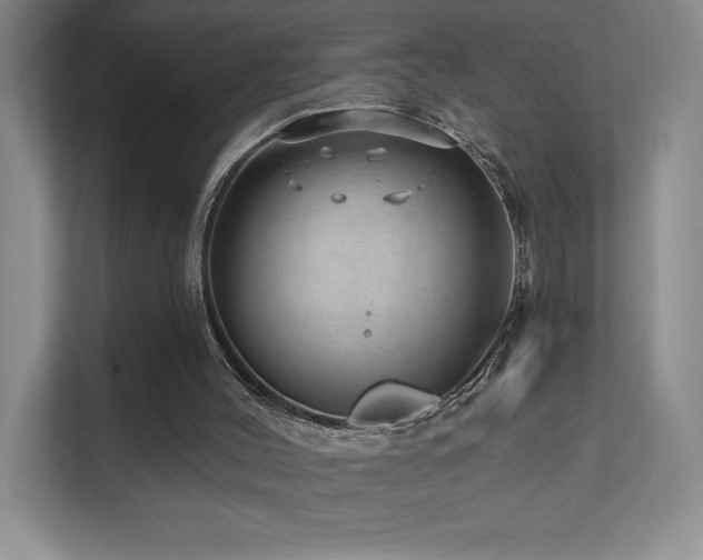 X0000111640004200907171556