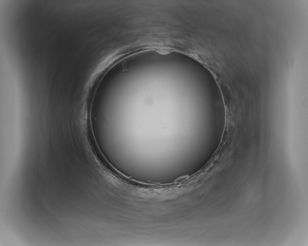 X0000111640005200907171556