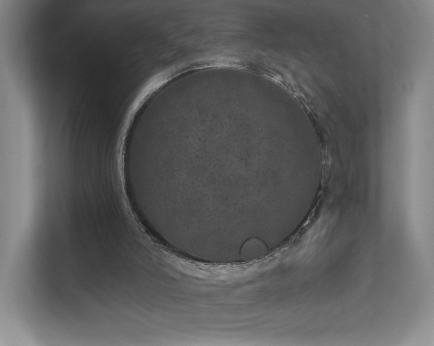 X0000111640006200907171556