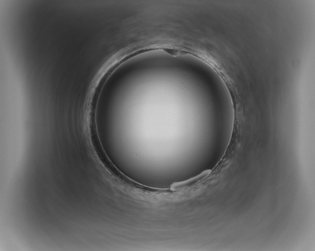 X0000111640007200907171556