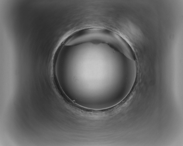 X0000111640008200907171556