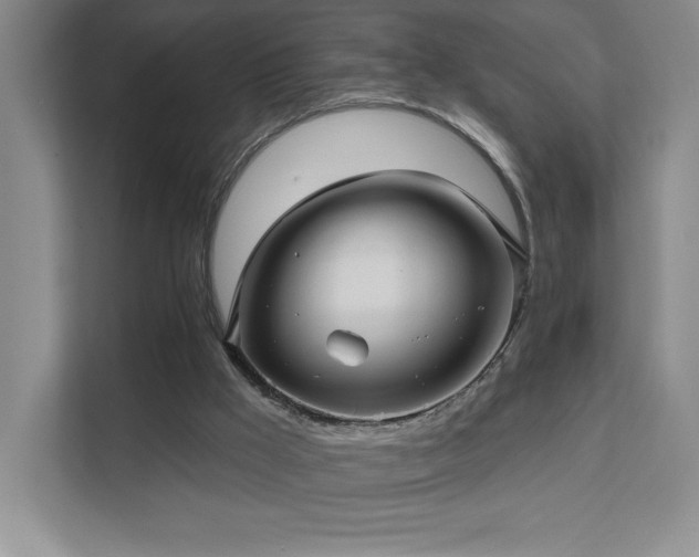 X0000111640009200907171556