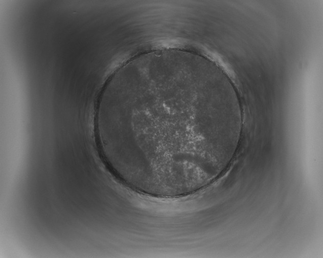 X0000111640010200907171556