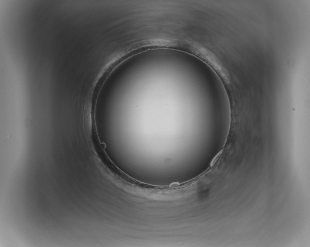 X0000111640011200907171556