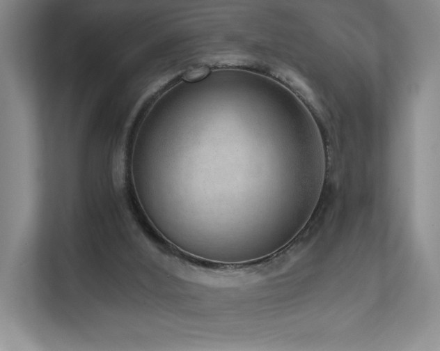 X0000111640012200907171556