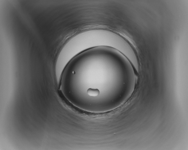 X0000111640013200907171556