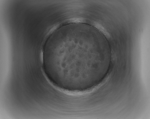 X0000111640014200907171556