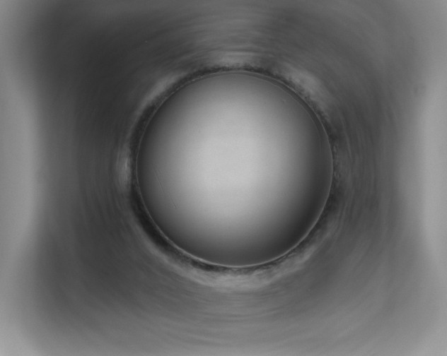 X0000111640016200907171556