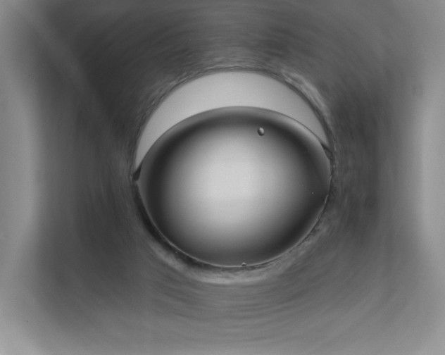 X0000111640017200907171556