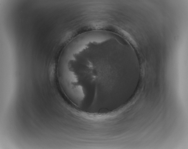 X0000111640018200907171556