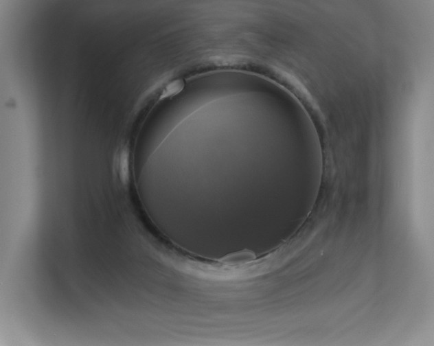 X0000111640019200907171556