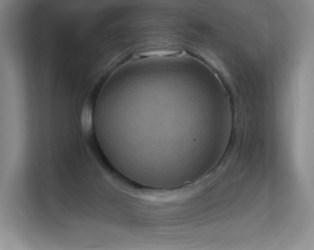 X0000111640021200907171556