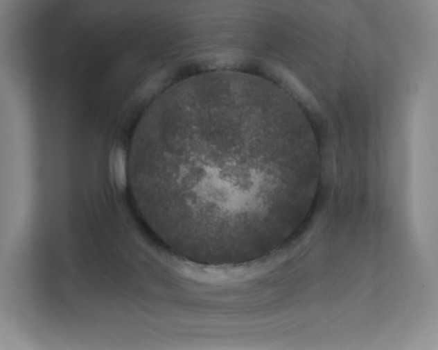 X0000111640022200907171556