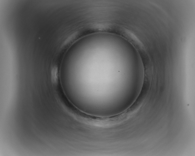 X0000111640024200907171556