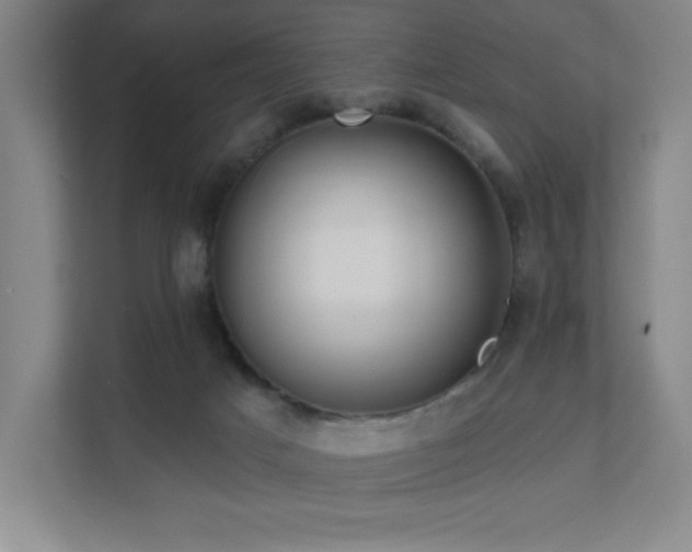 X0000111640025200907171556