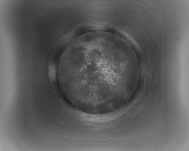 X0000111640026200907171556