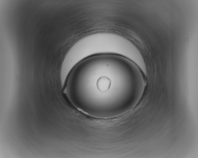 X0000111640029200907171556