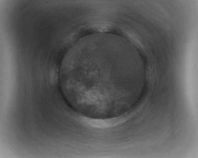 X0000111640030200907171556