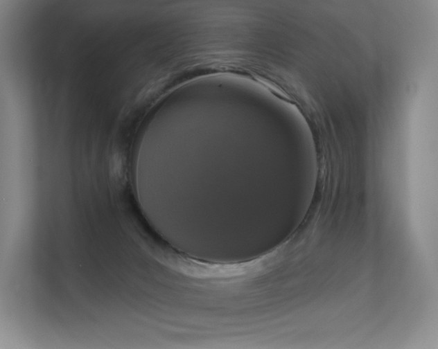 X0000111640031200907171556