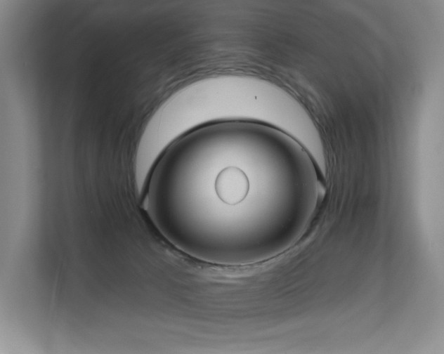 X0000111640033200907171556