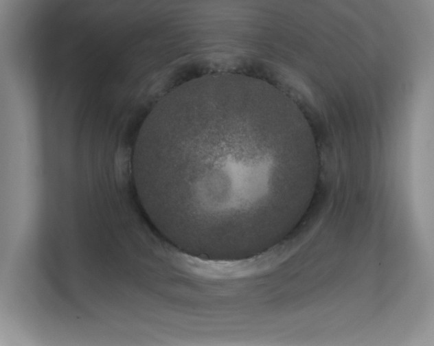 X0000111640034200907171556