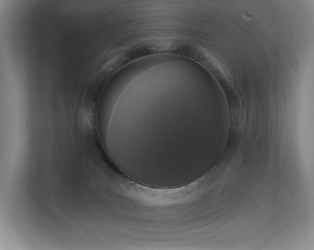 X0000111640035200907171556