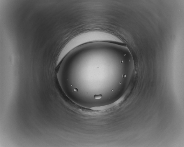 X0000111640036200907171556