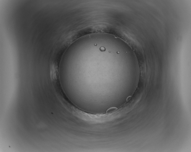 X0000111640038200907171556