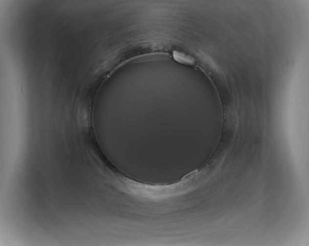 X0000111640039200907171556