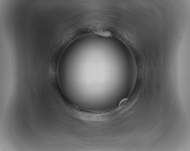 X0000111640040200907171556