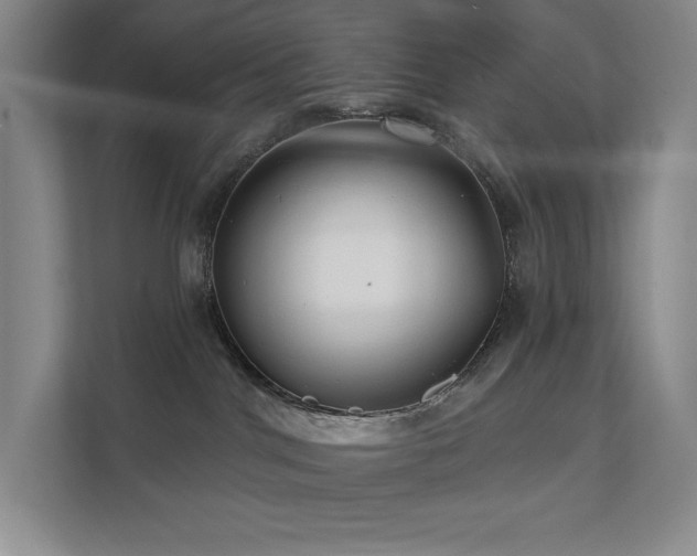 X0000111640044200907171556