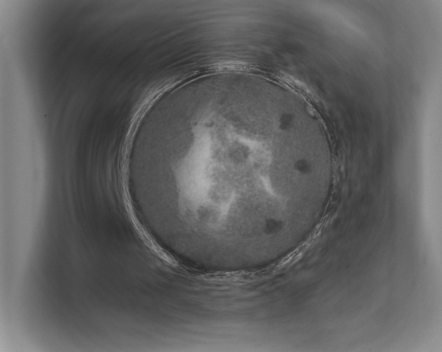 X0000111640049200907171555