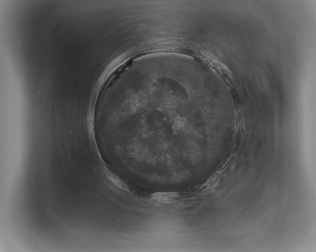 X0000111640051200907171555