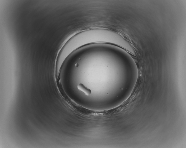 X0000111640052200907171555