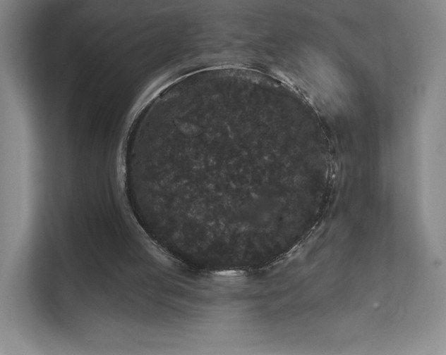 X0000111640053200907171555