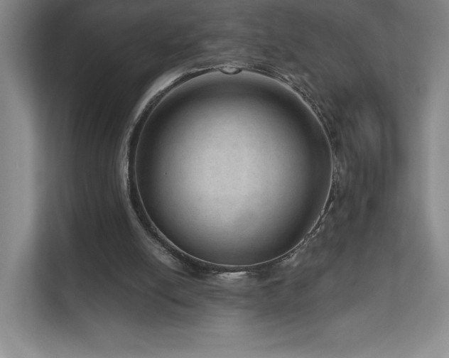 X0000111640054200907171555